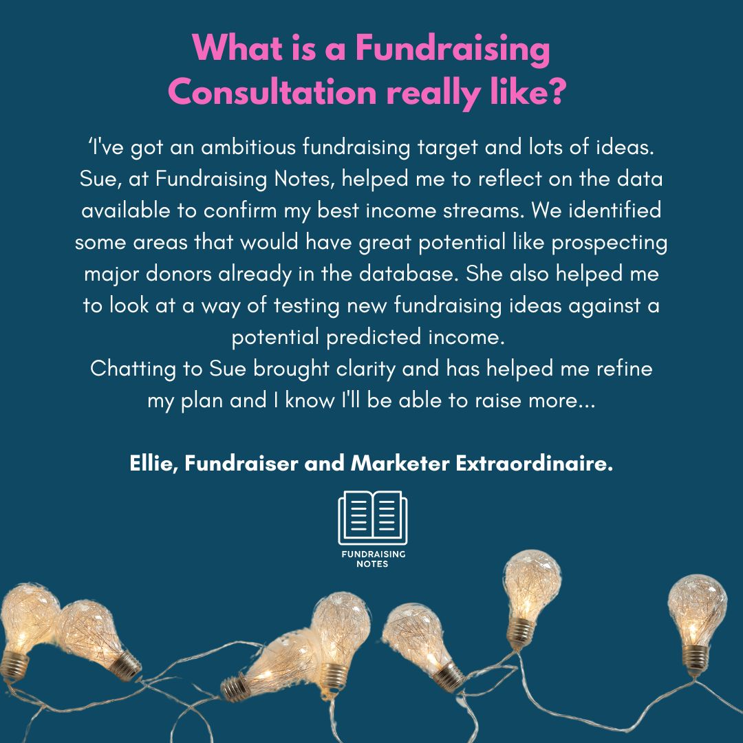 Fundraising Consultation. 1 to 1.